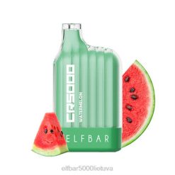 ELFBAR CR5000 vienkartiniai garai - arbūzas Elf Bar Vilnius J4H2272