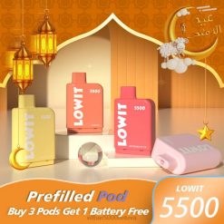 ELFBAR LOWIT 5500 iš anksto užpildyta ankštimi - mėlynių ledų Elf Bar Vilnius J4H2374