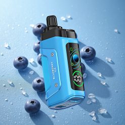 Razz Bar 45000 Puffs Mirtillo Ghiaccio Bobina Mesh 1.0 Ohm Italy vape wholesale