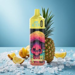 JNR Alien 10000 Puffs Ananas Ghiaccio Batteria 850mAh Italy vape wholesale