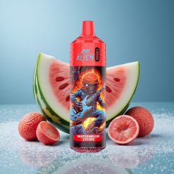 JNR Alien 10000 Puffs Anguria Litchi Batteria da 850mAh Italy vape wholesale