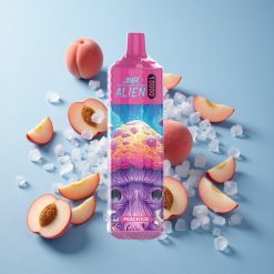 JNR Alien 10000 Puffs Capacità della Batteria 850mAh Pesca Ghiaccio Italy vape wholesale
