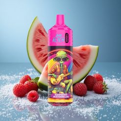 JNR Alien 10000 Puffs Lampone Anguria con Batteria 850mAh Italy vape wholesale