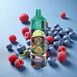 JNR Alien 10000 Puffs Mirtillo Acido Lampone Batteria 850mAh Italy vape wholesale