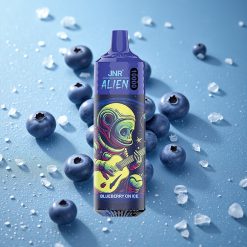 JNR Alien 10000 Puffs Mirtillo Blu Su Ghiaccio Batteria da 850mAh Italy vape wholesale