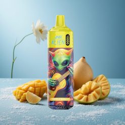 JNR Alien 10000 Puffs Triplo Mango Batteria 850mAh Italy vape wholesale
