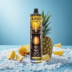 JNR Calavera 11000 Puffs Ananas Ghiaccio Porta di Ricarica Type-C Italy vape wholesale