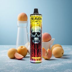 JNR Calavera 11000 Puffs Dispositivo Svapo Pesca Mango Porta Ricarica Type-C Italy vape wholesale