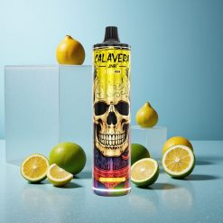 JNR Calavera 11000 Puffs Limone & Lime 21ml Capacità E-Liquid Italy vape wholesale