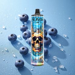 JNR Calavera 11000 Puffs Mirtillo Ghiaccio Capacità della Batteria 850 mAh Italy vape wholesale