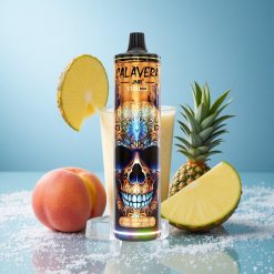 JNR Calavera 11000 Puffs Pesca Mango Ananas Ghiaccio Porta di Ricarica Type-C Italy vape wholesale