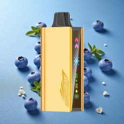 JNR Cruiser 12000 Puffs Mirtillo Blu Schermo Animazione Italy vape wholesale