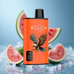 JNR EAGLE Smart 23000 Puffs Anguria Ghiaccio Schermo Digitale Italy vape wholesale