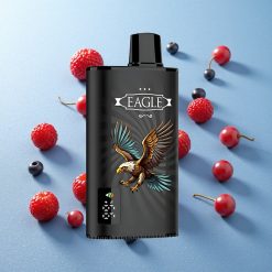 JNR EAGLE Smart 23000 Puffs Frutti di Bosco Schermo Digitale Italy vape wholesale