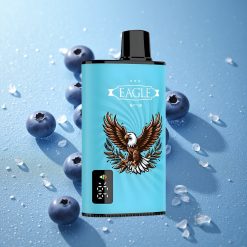 JNR EAGLE Smart 23000 Puffs Mirtillo Ghiaccio Schermo Digitale Italy vape wholesale