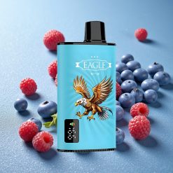 JNR EAGLE Smart 23000 Puffs Mirtillo Lampone Acido Schermo Digitale Italy vape wholesale