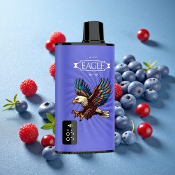 JNR EAGLE Smart 23000 Puffs Mirtillo Lampone Ciliegia Schermo Digitale Italy vape wholesale