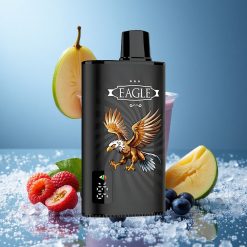 JNR EAGLE Smart 23000 Puffs Mirtillo Mango Ghiaccio Schermo Digitale Italy vape wholesale