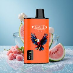 JNR EAGLE Smart 23000 Puffs Schermo Digitale Gomma da Masticare all'Anguria Italy vape wholesale
