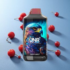 JNR Falcon 16000 Puffs Capacità E-Liquid 22ml Scoppio di Bacche Italy vape wholesale