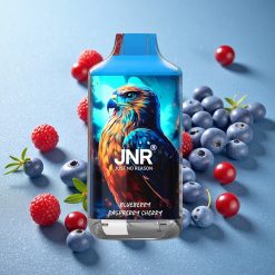 JNR Falcon 16000 Puffs Mirtillo Lampone Ciliegia Dual Mesh Coil Italy vape wholesale