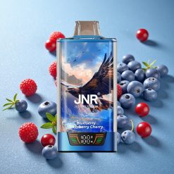 JNR Falcon Pro 28000 Mirtillo Lampone Ciliegia Smart Display Italy vape wholesale