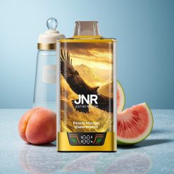 JNR Falcon Pro 28000 Pesca Mango Anguria 30ml Pre-Riempiuto Italy vape wholesale