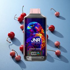 JNR Falcon X 18000 Puffs Ciliegia Bacca Dual Mesh Coil Italy vape wholesale