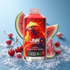 JNR Falcon X 18000 Puffs Dispositivo di Vapo USA E GETTA Ciliegia Anguria Ghiacciata Dual Mesh Coil Italy vape wholesale