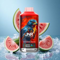 JNR Falcon X 18000 Puffs Dual Mesh Coil Anguria Ghiacciata Italy vape wholesale