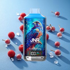 JNR Falcon X 18000 Puffs Dual Mesh Coil Blu Mirtillo Ghiaccio Italy vape wholesale