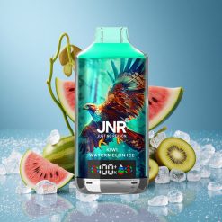 JNR Falcon X 18000 Puffs Kiwi Anguria Ghiaccio Display Digitale Italy vape wholesale