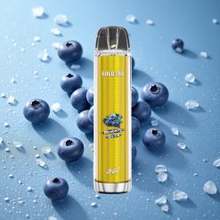 JNR Gold380 6000 Puffs Mirtillo Su Ghiaccio 13ml Capacità e-Liquido Italy vape wholesale