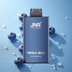 JNR Mega Box 25000 Puffs Capacità di E-liquid 30ml Mirtillo Ghiaccio Italy vape wholesale