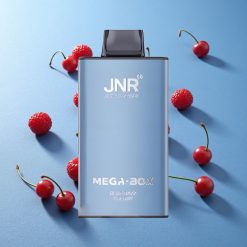 JNR Mega Box 25000 Puffs Dispositivo di Vapo Monouso Mirtillo Lampone Italia vape wholesale