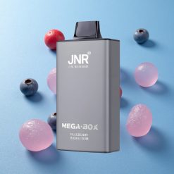 JNR Mega Box 25000 Puffs Gomma da Masticare al Mirtillo Dual Mesh Coil Italy vape wholesale