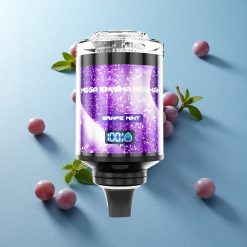 JNR Mega Shisha 100000 Puffs Uva Menta 2200mAh Ricaricabile Italy vape wholesale