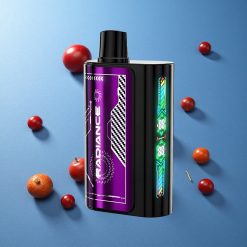 JNR Radiance 31000 Puffs E-Csig Sigaretta Elettronica Monouso Mirtillo Lampone Blu Italy vape wholesale