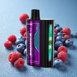 JNR Radiance 31000 Puffs Mirtillo Acido Lampone Schermo Animazione Intelligente Italy vape wholesale