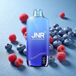 JNR Rainbow 10500 Puffs Mirtillo Lampone Batteria 600mAh Italy vape wholesale