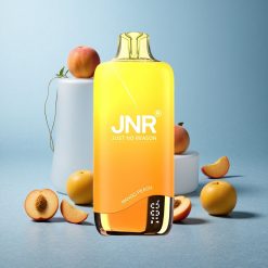 JNR Rainbow 10500 Puffs Pesca Mango Capacità della Batteria 600mAh Italy vape wholesale