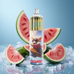 JNR Rocket-X 12400 Puffs Capsula Mesh 1.2ohm Anguria Ghiacciata Italy vape wholesale