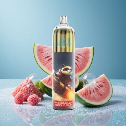 JNR Rocket-X 12400 Puffs Coil Mesh 1.2ohm Gomma Bubble Anguria Italy vape wholesale