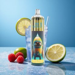 JNR Rocket-X 12400 Puffs Sigaretta Elettronica Monouso Lamponi Limonata Blu Capacità della Batteria 850mAh Italy vape wholesale