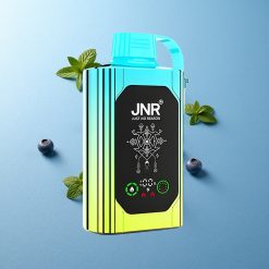JNR Shisha Hookah Box 20500 Puffs Mirtillo Menta Dual Mesh Coil Italy vape wholesale